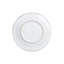 Aurora Stoneware Dinner Plate