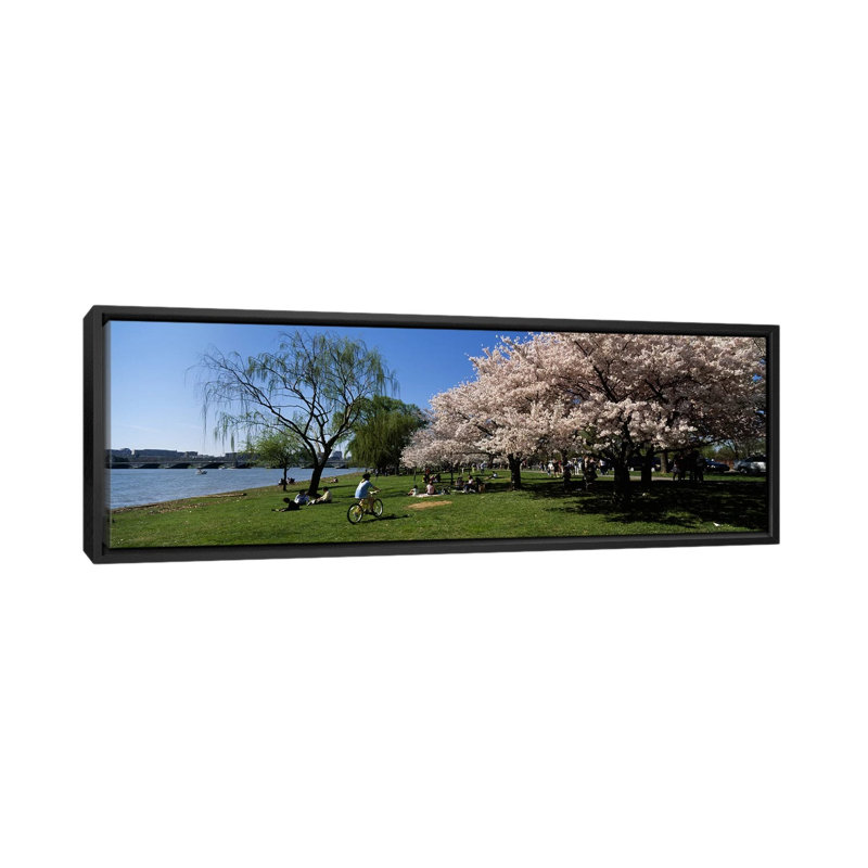 « cerises fleurs, washington dc », reproduction de photo sur toile, H 12 po x l 36 po x P 1,5 po, Cadre noir