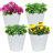 Mittler 4.1-Gallon Round Galvanized Steel Buckets w/ Hexagon Pattern - White-2008377687