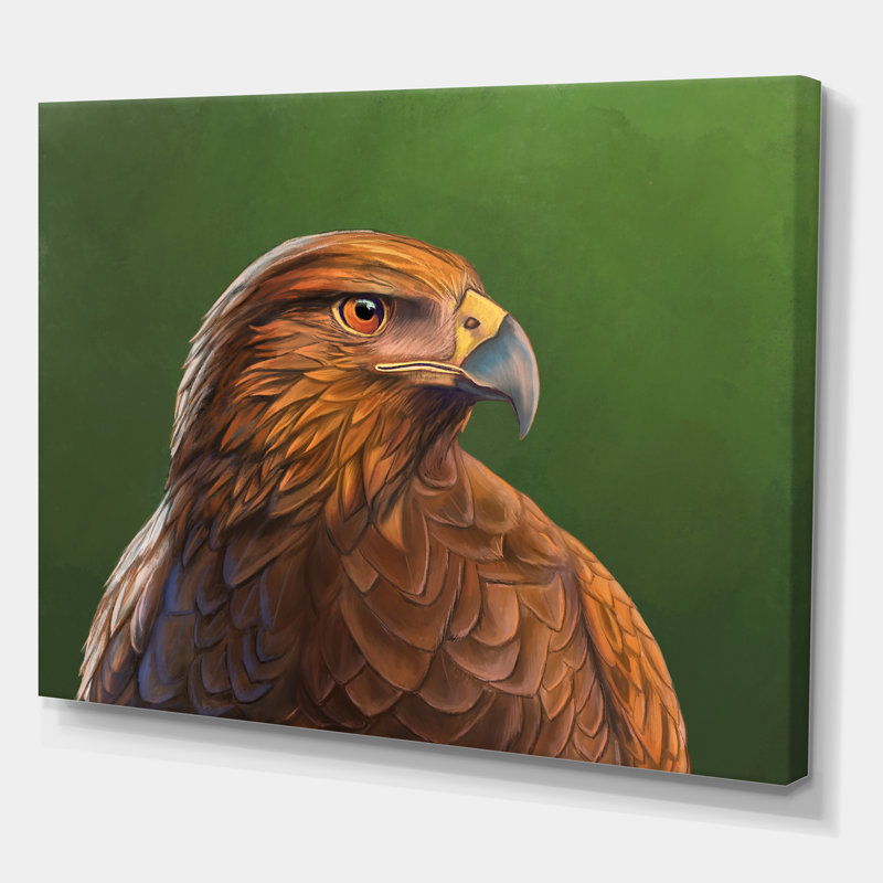 Portrait d'un oiseau Hawk - impression sur toile, H 12 po x l 20 po x p 1 po, Toile tendue