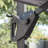 Caseton 98.5'' Cantilever Umbrella-386334146