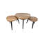 Moser Coffee Table-1727588215