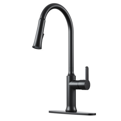 CASAINC 1.8 GPM Single-Handle Pull-Down Kitchen Faucet Single Hole Faucet -  CA-D4189-MB