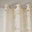 Fenêtre de palmier 50 po-964281167-964281169