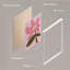 Cygne rose, flamant rose, botanique, fleur, rose, Monstera, formes abstraites encadrées sur papier, impression de 8 pièces-92573547-92573548