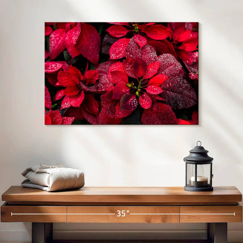 Poinsettia rosé, H 16 po x l 24 po