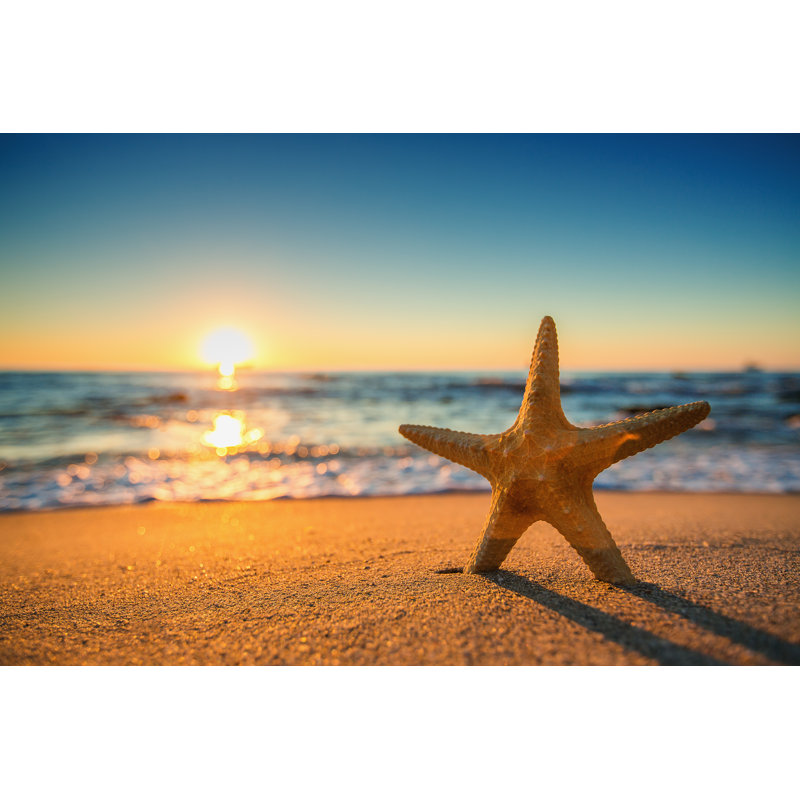 Starfish On The Beach - Wrapped Canvas Print, 30cm H x 46cm W x 3.8cm D