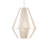 Fraxel Pendant