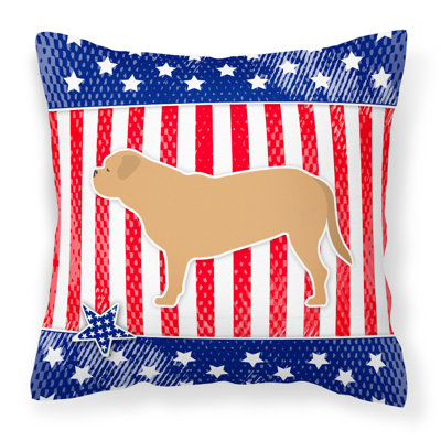 Coussin intérieur / extérieur Patriotic