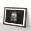 Wolf Portrait - Picture Frame Graphic Art Print-56876434-56876427