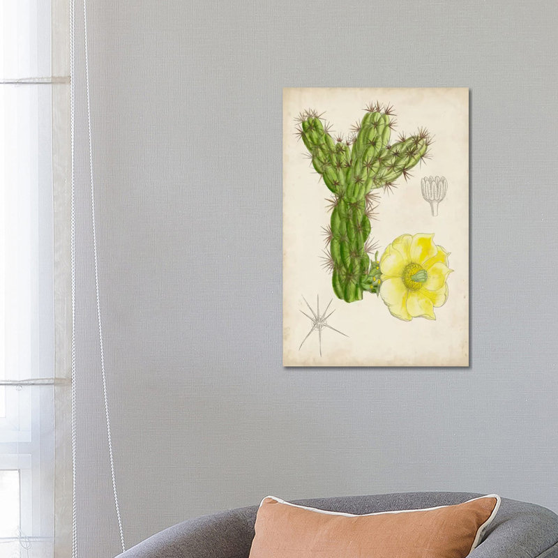 Antique Cactus I 1 Piece Wrapped Canvas Painting, 66.04 cm H x 45.72 cm W