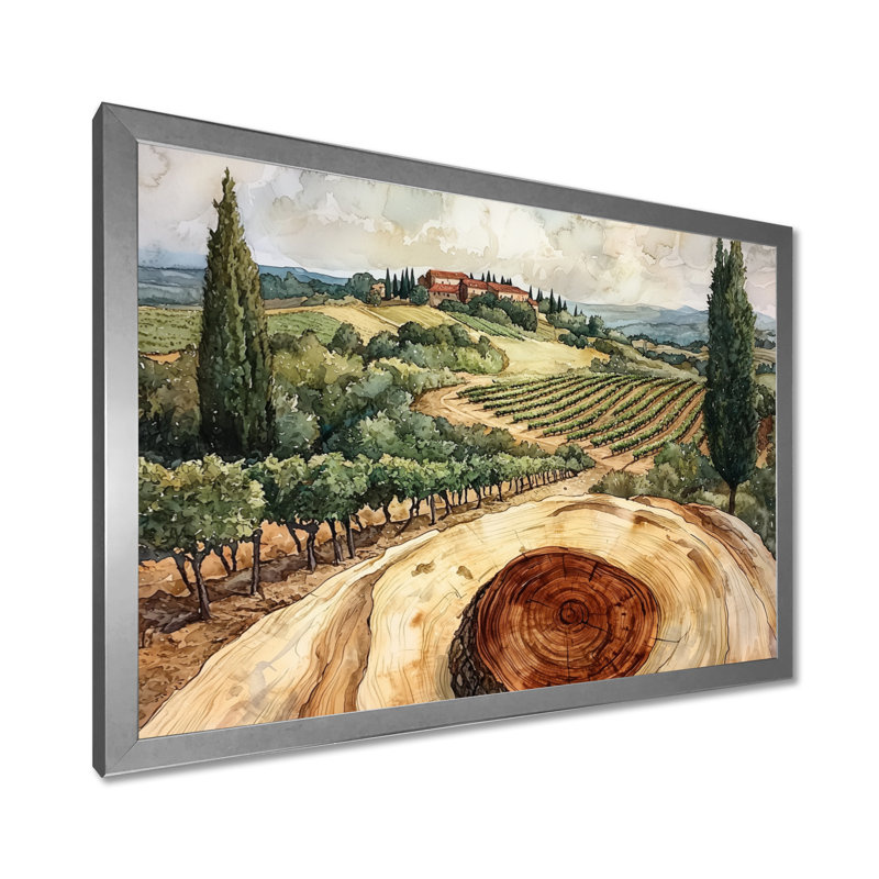 Winn - Vineyard, art mural, Reproduction encadrée d'une seule photo, Argent argent, H 30 po x l 40 po