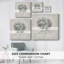 Vintage Hydrangea - reproduction sur toile tendue-1062939352