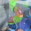 Bryson Hamster Cage