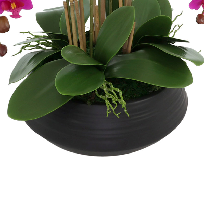 Centre de table orchidée dans un pot en céramique, Rose