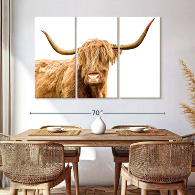 Brampt qui vous regarde, vache Highland écossaise