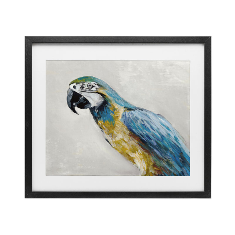 Polly Parrot Portrait, reproduction encadrée sous verre, conception de Jacob Q, H 13 po x l 16 po, Cadre noir minuit