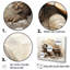 Minimalisme tortue I sur toile-97048525-97048537