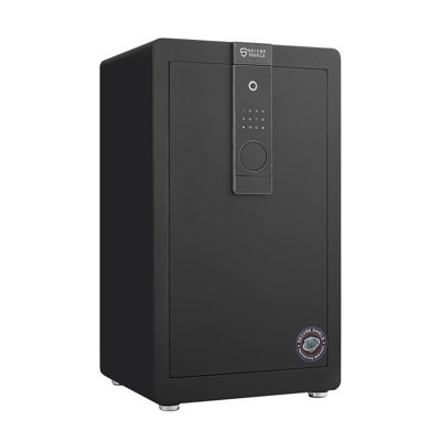 Safe Box With Biometric Recognition