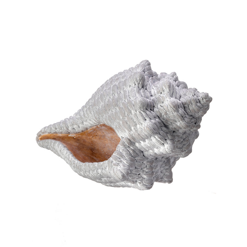 Anazagene 'Fabric Weave' Conch Shell