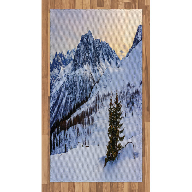 Mountain Nature High Density Long Fiber Poly Threads Decorative Area Rug Carpet, Rectangle 2'7" x 5'