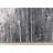 Walburg Abstract Black White Soft High Traffic Area Rug-2008976369