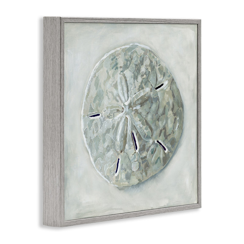 Gray Framed Sand Dollar Seashell Canvas Print, 13 x 18 in