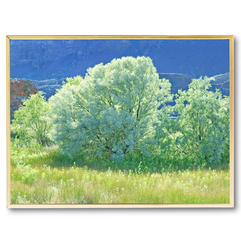 Spring Russian Olive Tree Design Print by Bruce Heinemann, Gold Floater Framed Canvas, No Mat, 47" H x 62" W