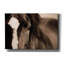 «Dark Eyes» par Lisa Dearing, estampe numérique sur toile-1720294314