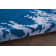Williamsburg Abstract Hand Woven Area Rug