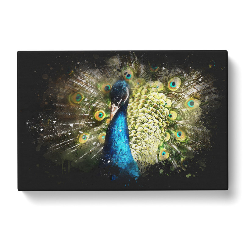 Peacock Vol.2 - Wrapped Canvas Print, 40cm H x 60cm W x 3cm D