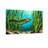Animals Underwater Sea Life Eel And Seagrass Pattern-2125103022