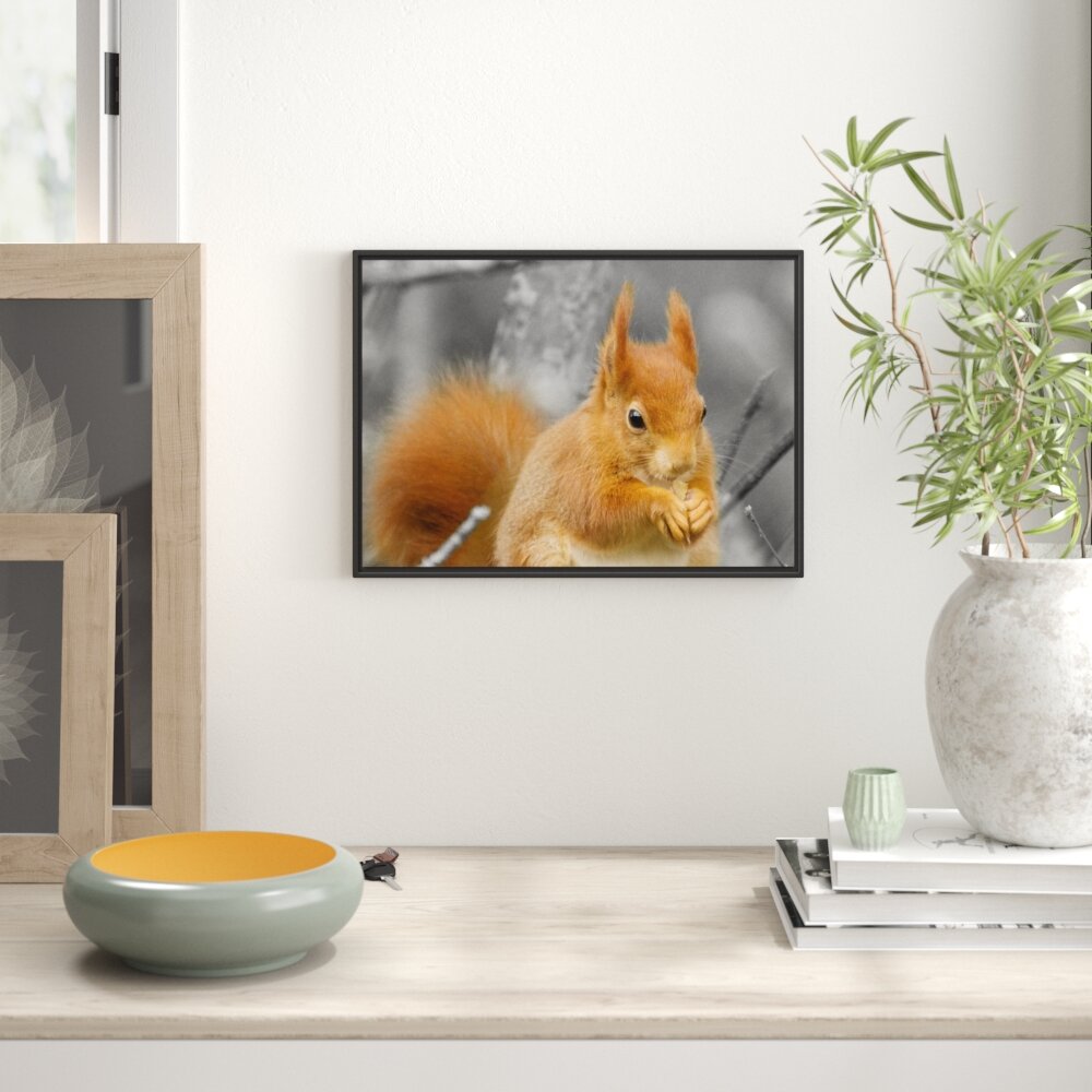 Gerahmtes Wandbild Eichhörnchen beim Fressen