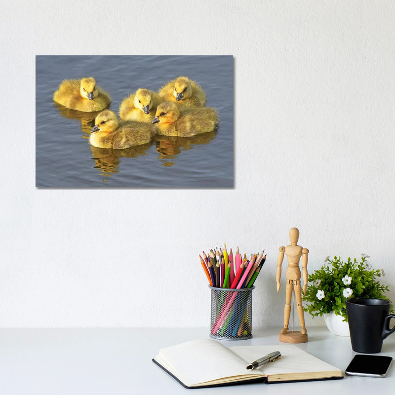 Yellow Puffballs by Brian Wolf - Wrapped Canvas Gallery-Wrapped Canvas Giclée, 20.32cm H x 30.48cm W