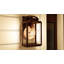 Laelia Bronze Outdoor Wall Lantern-16292082