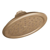 ExactTemp Rain Shower Head with Immersion
