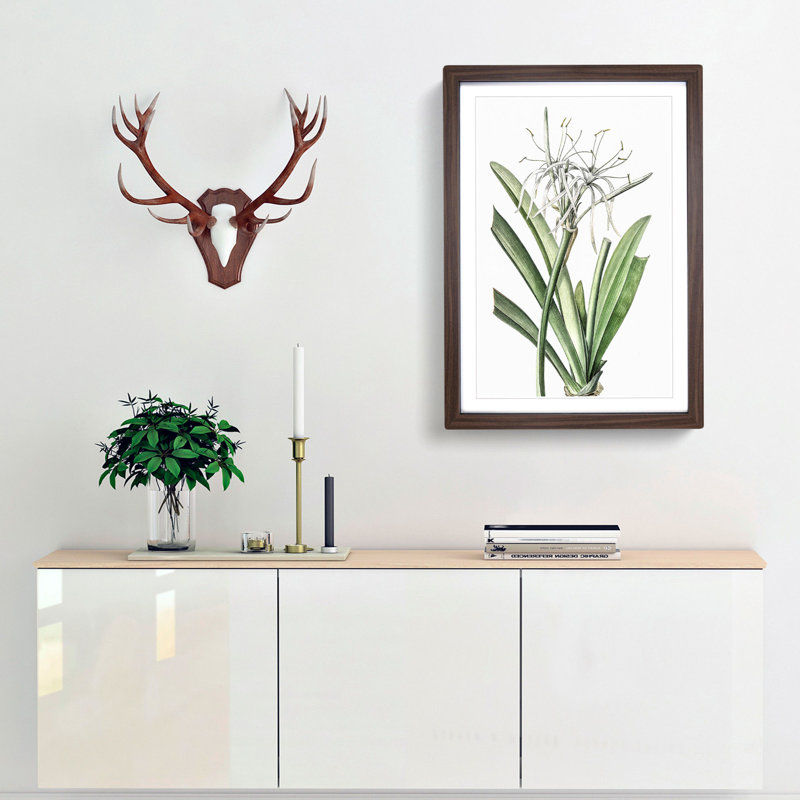 Caribbean Spider lily Flowers by Pierre-Joseph Redoute - Picture Frame Painting Print, Walnut Framed, 65cm H x 48cm W x 2cm D