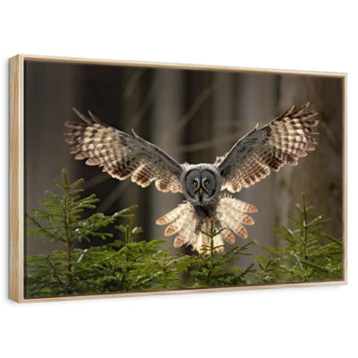 Hibou volant
