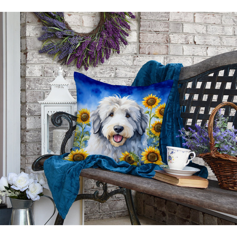 Other/No Pattern Outdoor Throw Pillow, 18" H x 18" W