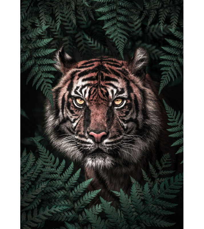 Wrapped Canvas Print, 50.8 cm H x 76.2 cm W