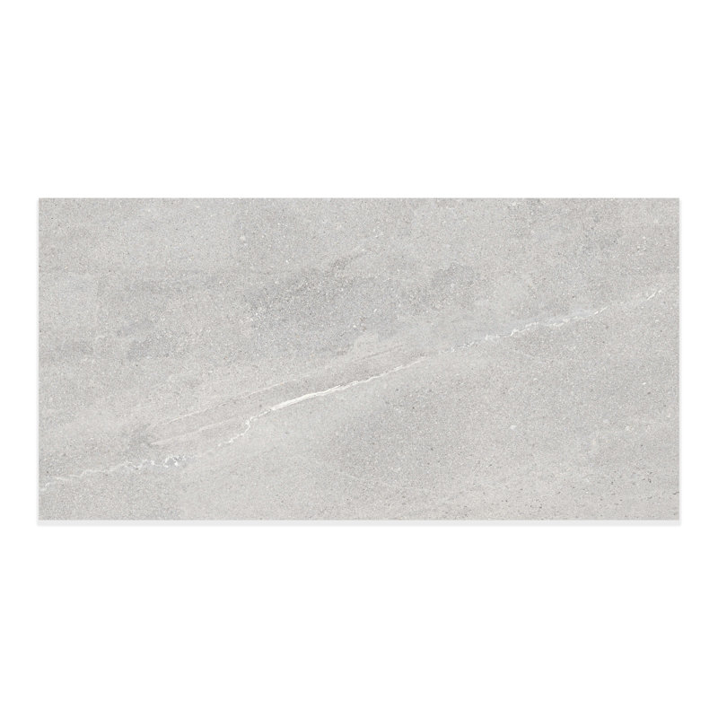 Kirlington Matte 24x48 Porcelain Floor & Wall Tile (15.5 Sq. Ft./Case), Silver