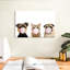 «Funny Animal», reproduction sur toile-92519877