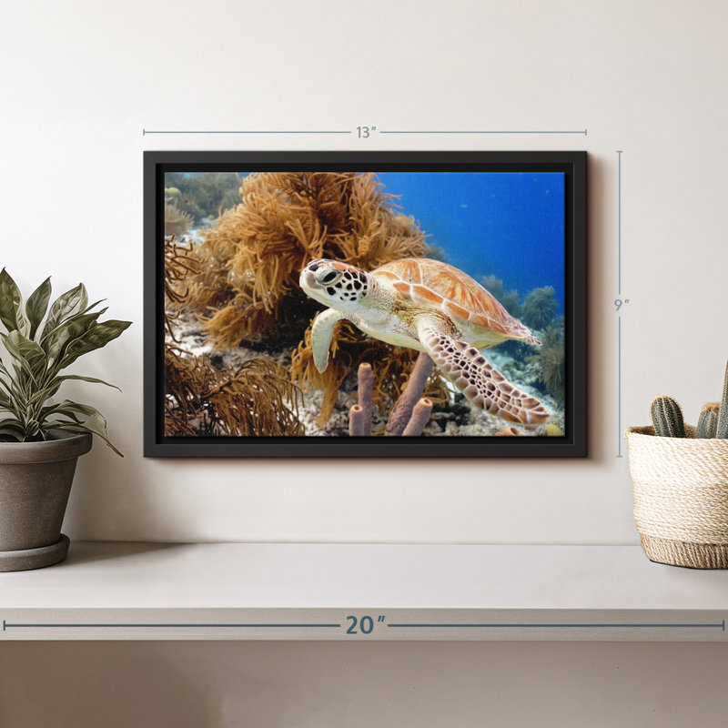 Turtle Reef Canvas Print, 9" H x 13" W