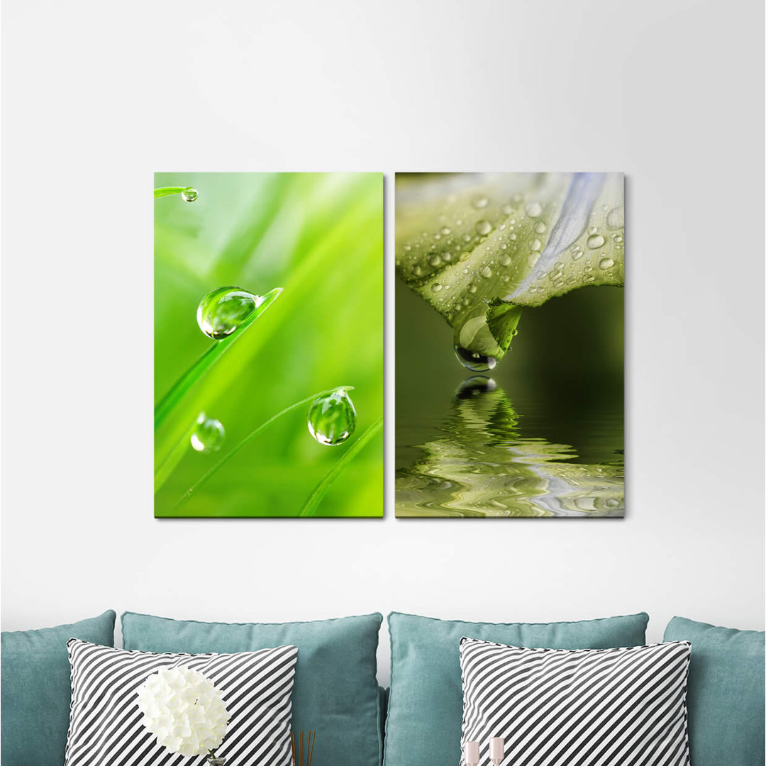 2-tlg. Leinwandbilder-Set - Fotografie „Grass Blades of Grass Green Water Drops Lake Refreshing”