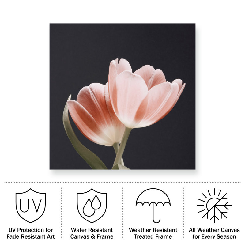 Doux rose gris sur fond en toile, H 14 po x l 14 po