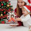 Christmas Decorative Accent