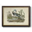 Audubons Louisiana Heron, toile encadrée de qualité supérieure - prête à être accrochée-1984957958