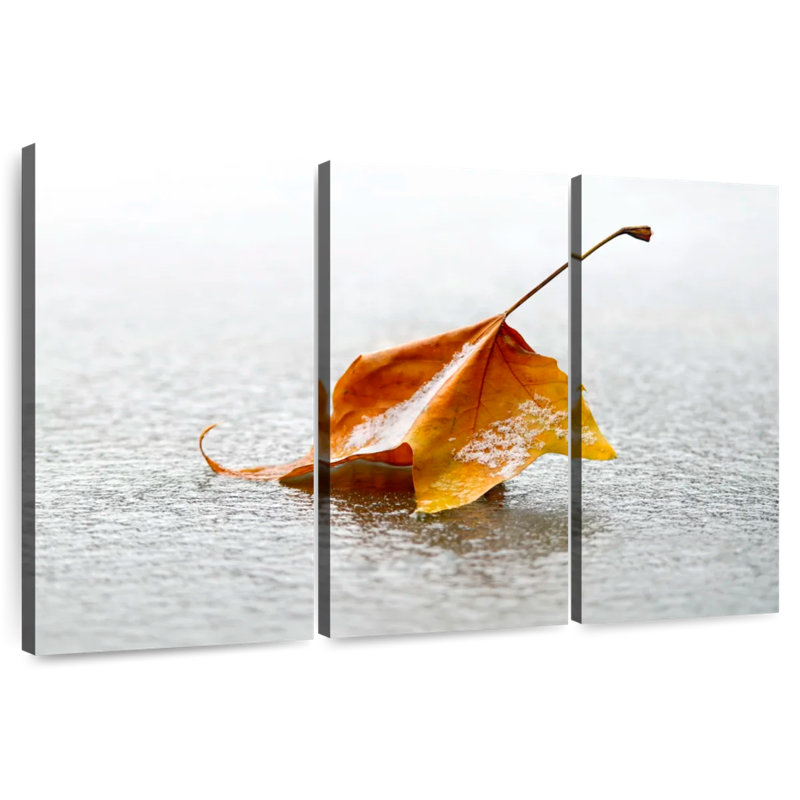 Harnek Crisp, 48" H x 74" W