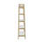 Shelf / Bookcase-1015714578