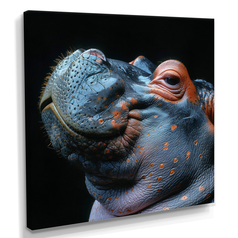Hippopotame sur fond noir I - reproduction d'art hippopotame animal, H 30 po x l 30 po x P 1 po, Toile tendue